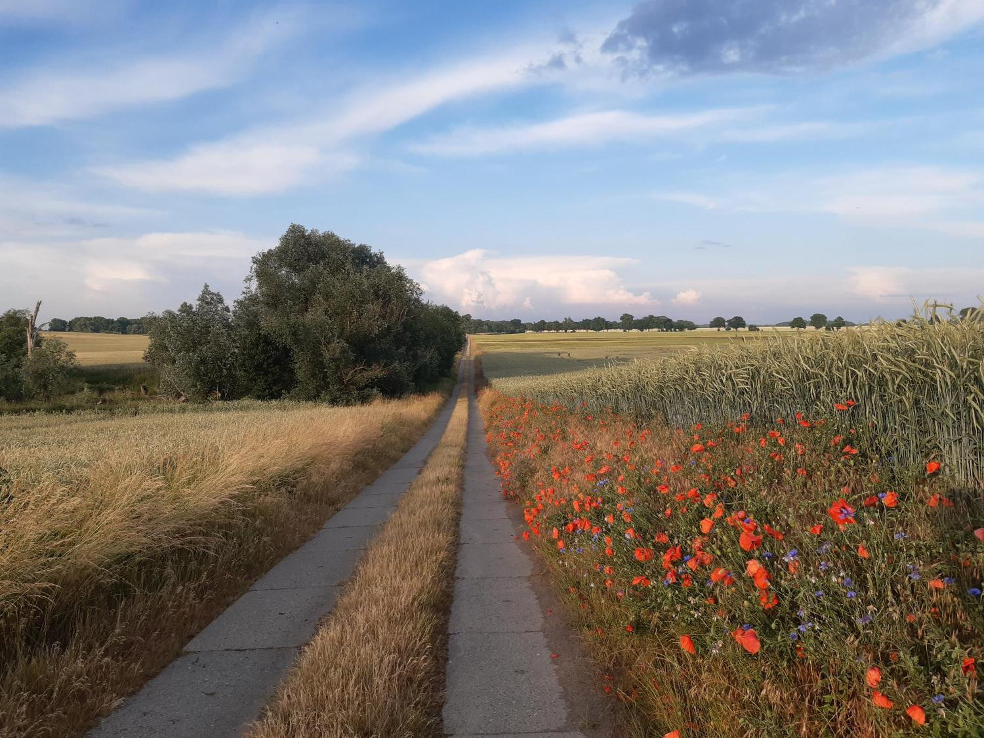 Kulturfreizeiten Ferienwohnungen Neuruppin Εξωτερικό φωτογραφία